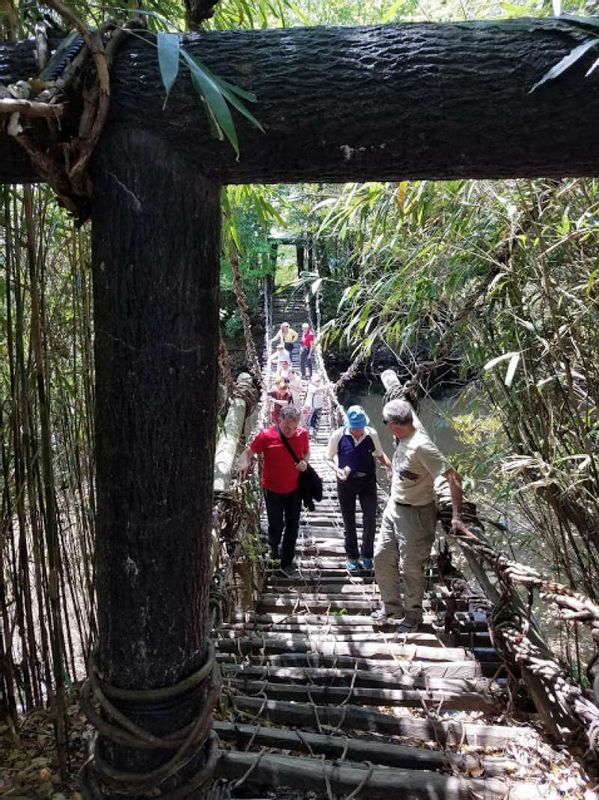 Kanagawa Private Tour - A hanging bridge in the Shikoku- village in Kagawa pref.