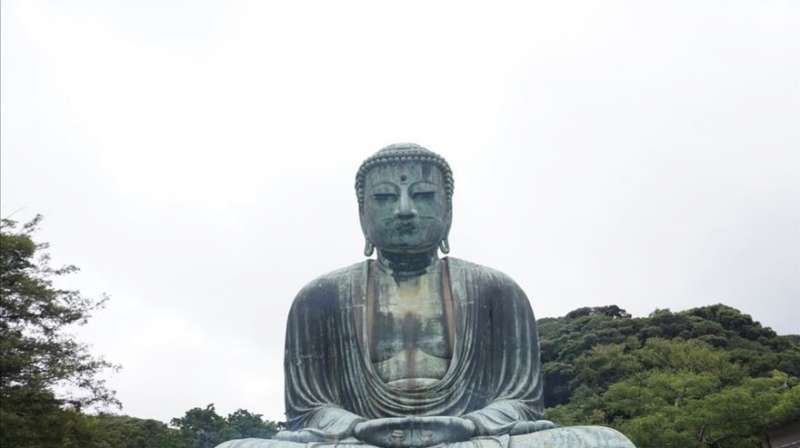 Kanagawa Private Tour - Kamakura  a une grande vaiété de charmes qui vous attirent. En entrant , Daibutsu, grand bouddha , sobre et calme vous accueillera. 
Les Zendera offriront un repos sprituel  profond et quelques moments d’oubli.  Vous verrez aussi une atmosphère très animée dans les rues marchandes  « Komachi-Ôji ». 