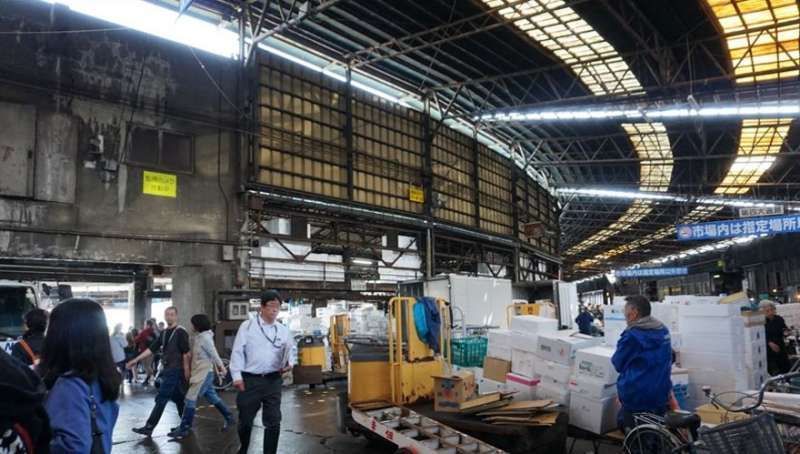 Kanagawa Private Tour - Le marché de Tsukiji, le plus grand marché au poisson du monde, où 1.800 tonnes de fruits de mer se vendent. Vous verrez différentes sortes de créatures marines qui ne sont pas familières à l’Occident.
