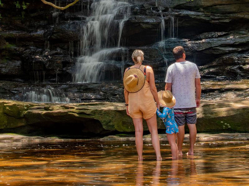 New South Wales Private Tour - Rex by the waterfalls, or under them!