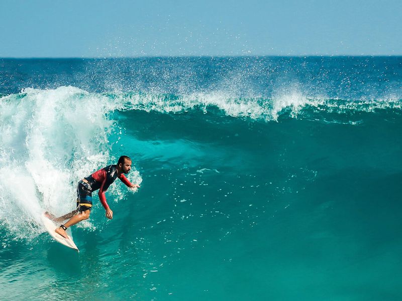 New South Wales Private Tour - Learn all about Australian surfing culture