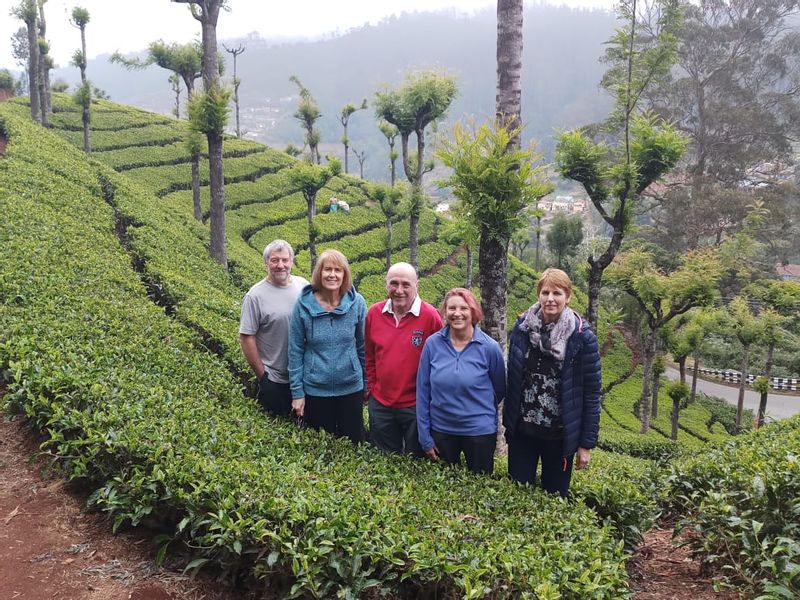 Himachal Pradesh Private Tour - Trekking group at Munnar