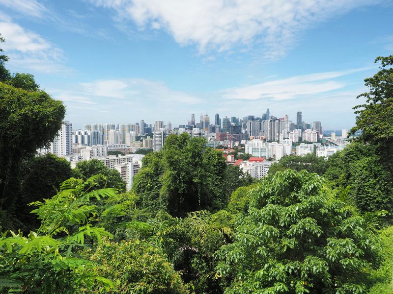 Singapore Private Tour - View of the city from Mount Faber