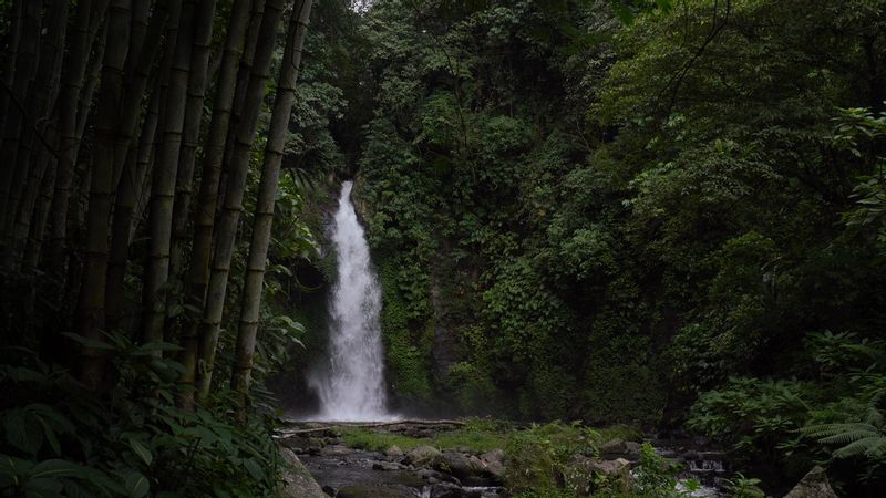 Bali Private Tour - Tegallantang waterfall