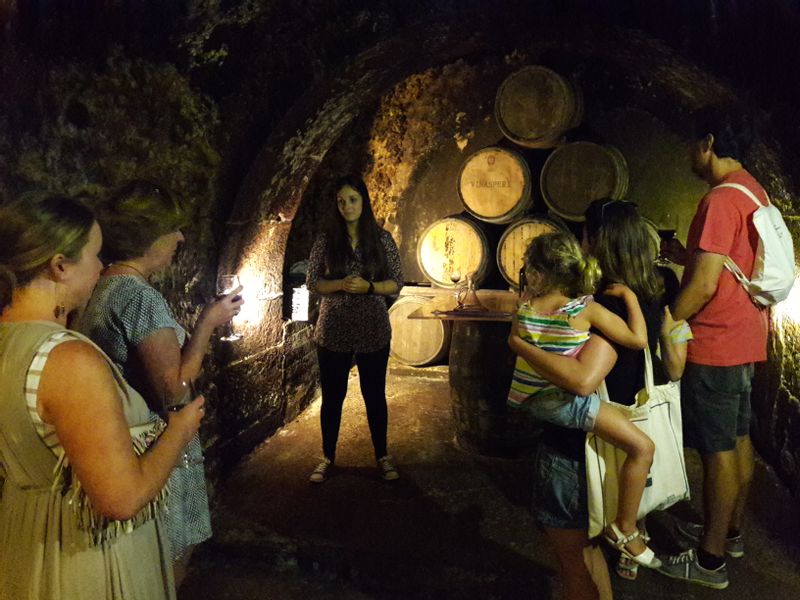 Pais Vasco Private Tour - Rioja wine caves