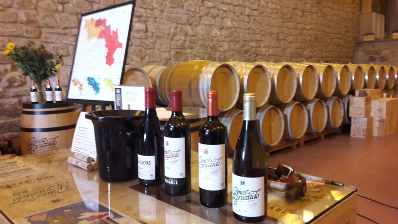 Pais Vasco Private Tour - Wine tastings in Rioja