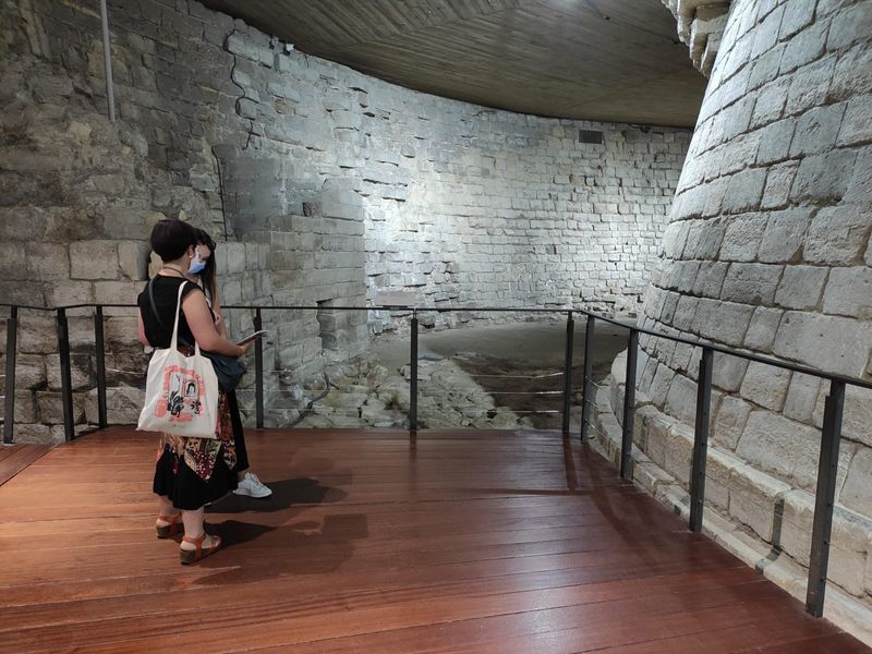 Ile-de-France Private Tour - Louvre Medieval Foundations