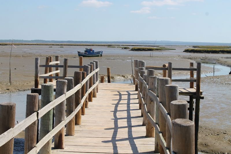 Lisbon Private Tour - Sado Estuary on low tide