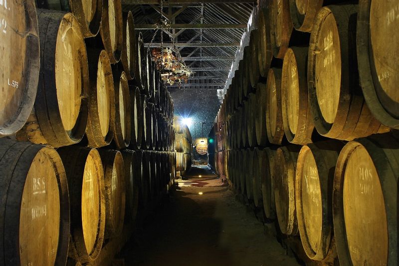 Lisbon Private Tour - Wine cellar in Setúbal Wine Region