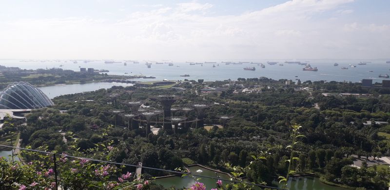 Singapore Private Tour - Garden By The Bay (Super Tree Grove) view from Marina Bay Sand Hotel.