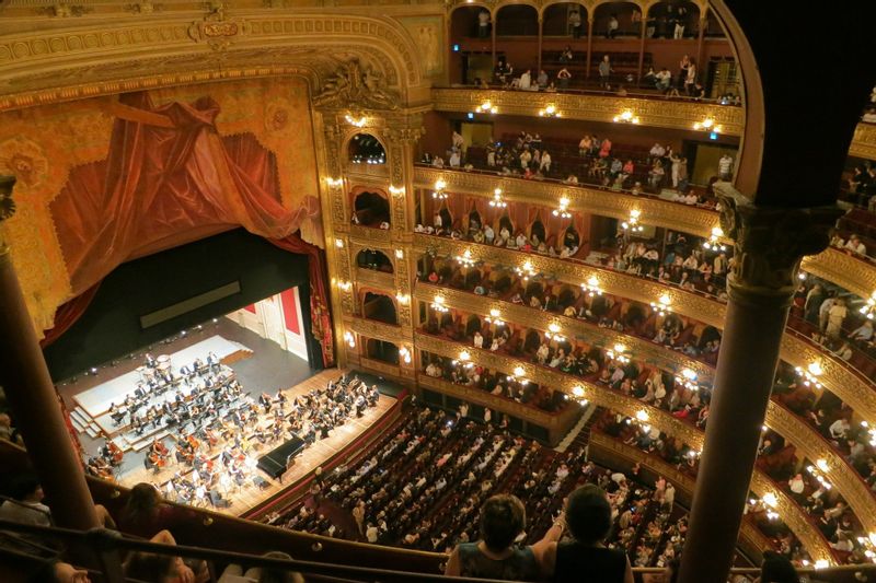 Buenos Aires Private Tour - Opera Orchestra