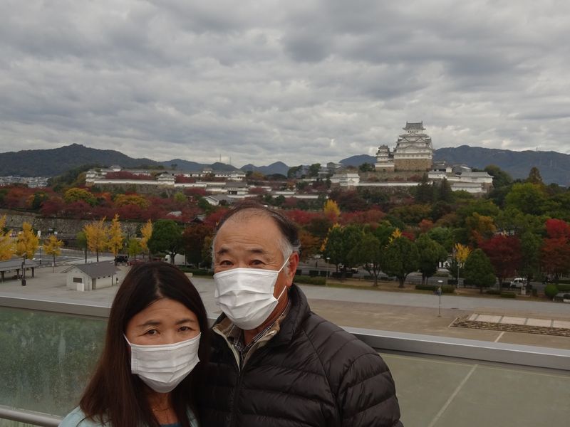 Hyogo Private Tour - Panorama of Himeji Castle