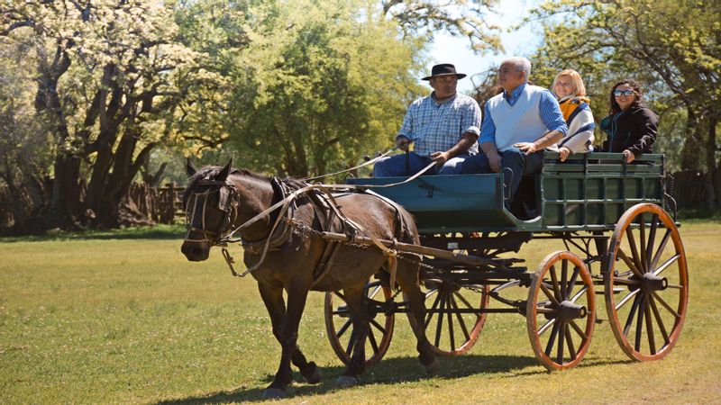 Buenos Aires Private Tour - Gaucho tour in the countryside 