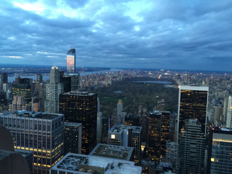 New York Private Tour - Central Park and Skyscraper views