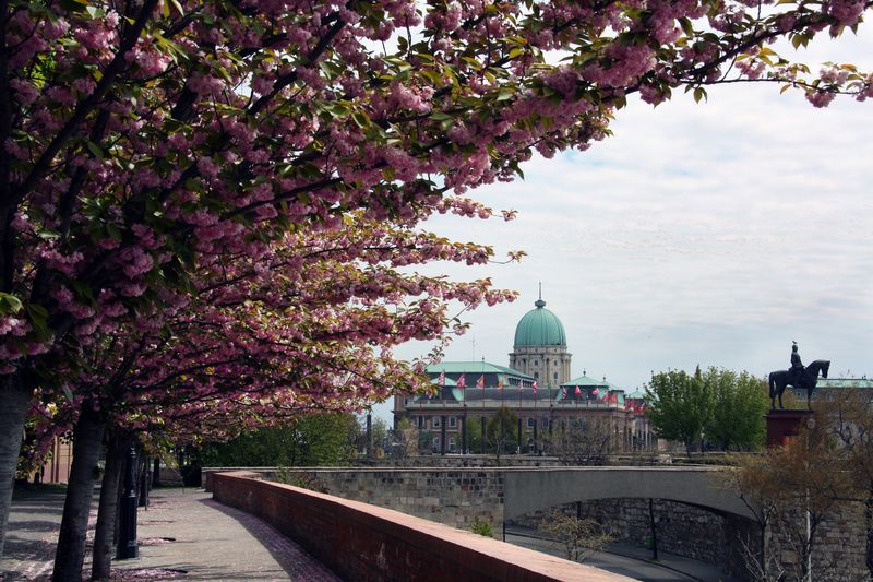 Budapest Private Tour - Buda Castle in spring