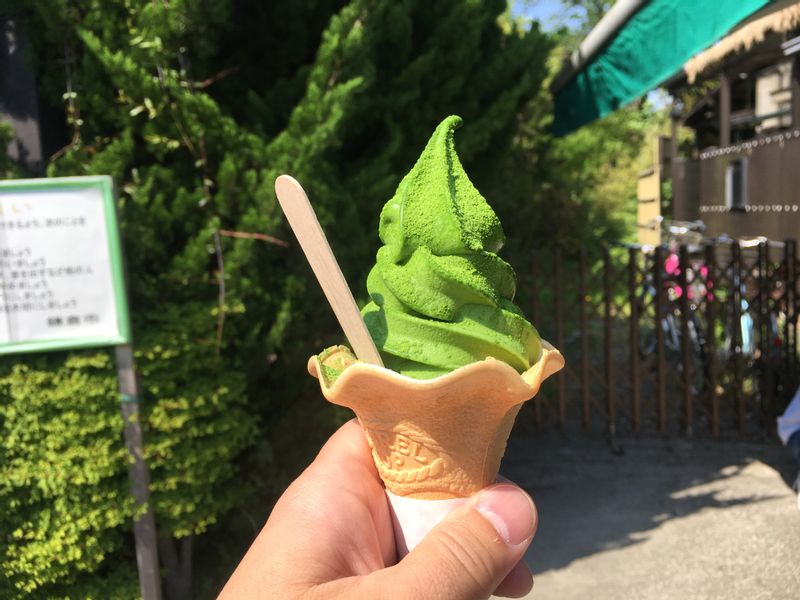 Kanagawa Private Tour - Finally, I like matcha ice cream very much!