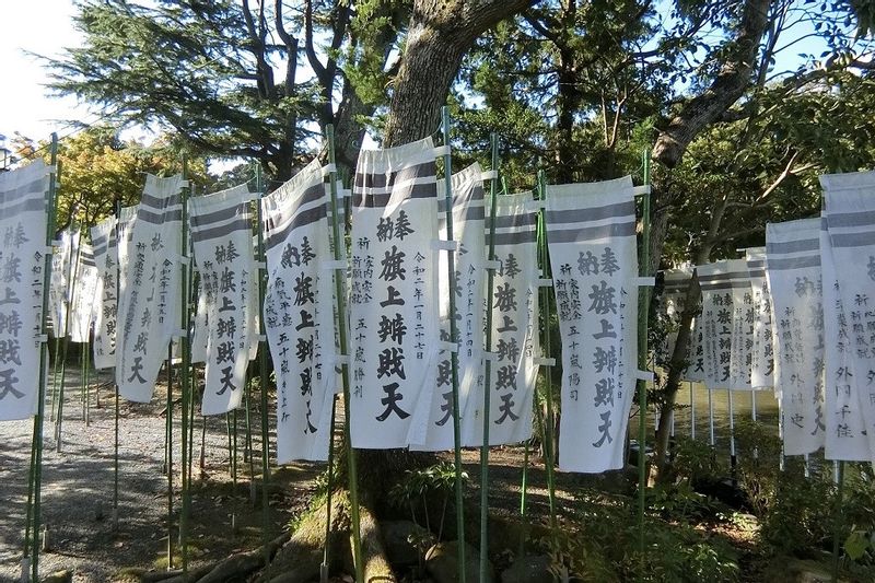 Kanagawa Private Tour - Walk around in the Tsurugaoka Shrine.