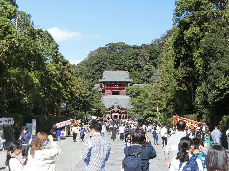 Kanagawa Private Tour - The main Shrine is almost there!
