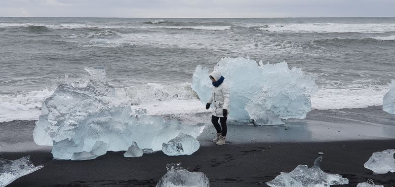 Reykjavik Private Tour - Beach in south Iceland.