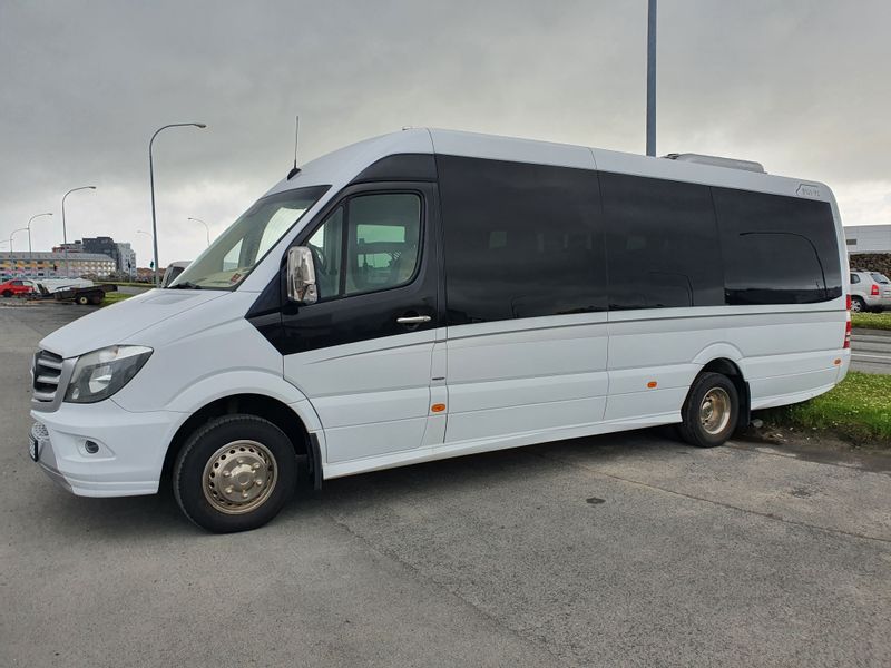 Reykjavik Private Tour - One of my Mercedes Sprinter vehicles - 19 seats.