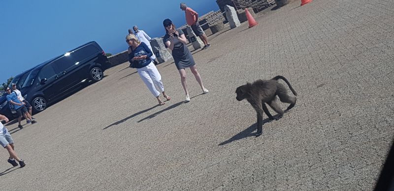 Western Cape Private Tour - Cape Point light house