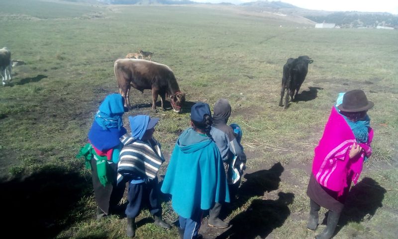 Pichincha Private Tour - indigenous family