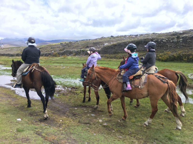 Pichincha Private Tour - Ride horse in Cotopaxi National Park