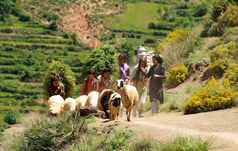 Marrakech Private Tour - Berber culture