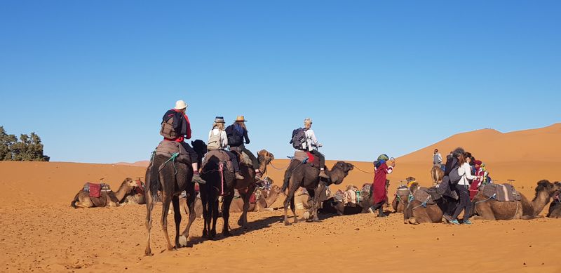 Marrakech Private Tour - Camel ride 