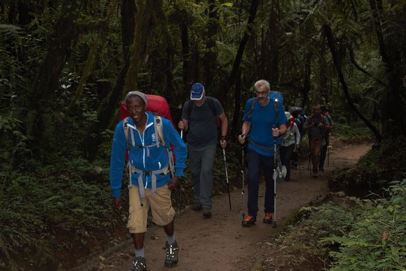Kilimanjaro Private Tour - guiding people