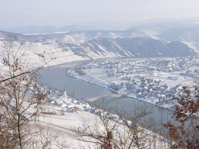Rheinland-Pfalz Private Tour - Moselle in winter