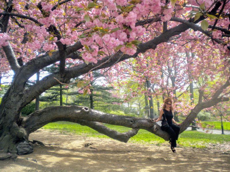 New Jersey Private Tour - Springtime in Central Park