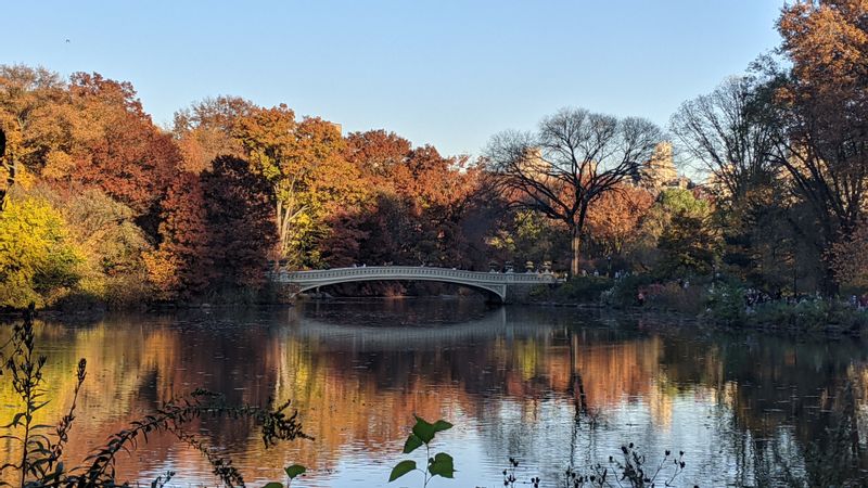 New Jersey Private Tour - Bow Bridge  in Central Park