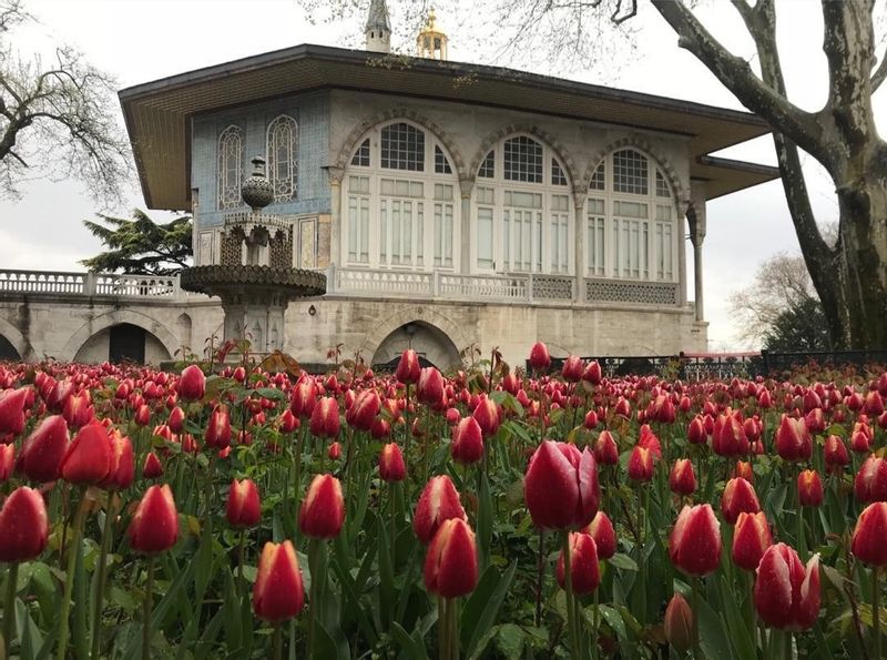 Istanbul Private Tour - Topkapı Palace