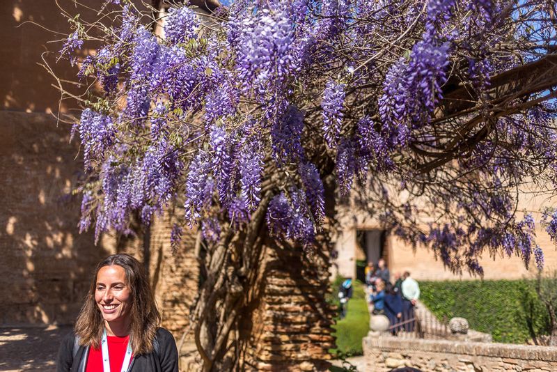 Andalucia Private Tour - Alhambra gardens