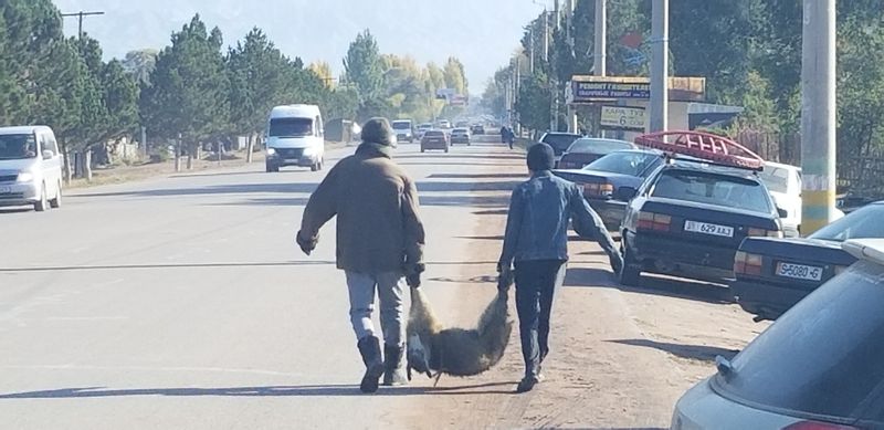 Bishkek Private Tour - People bought a sheep in animal market in Kochkor 