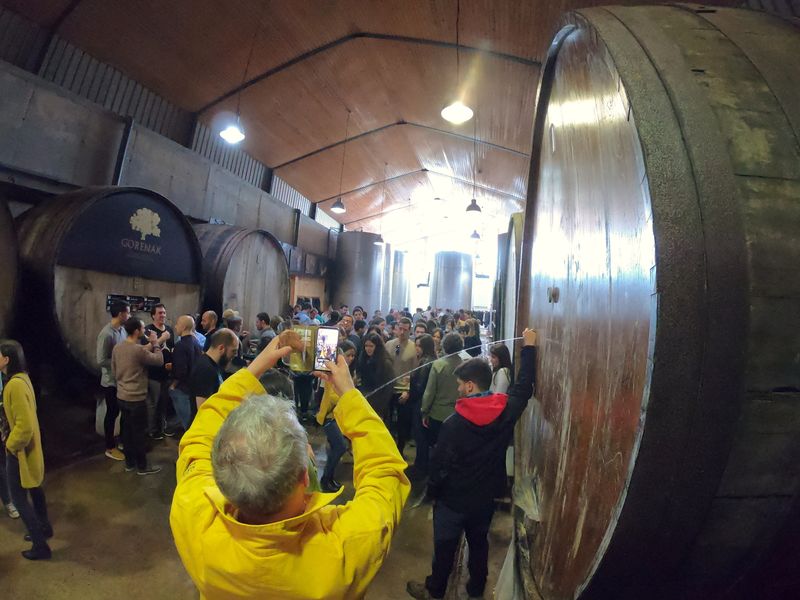 Pais Vasco Private Tour - Cider house party