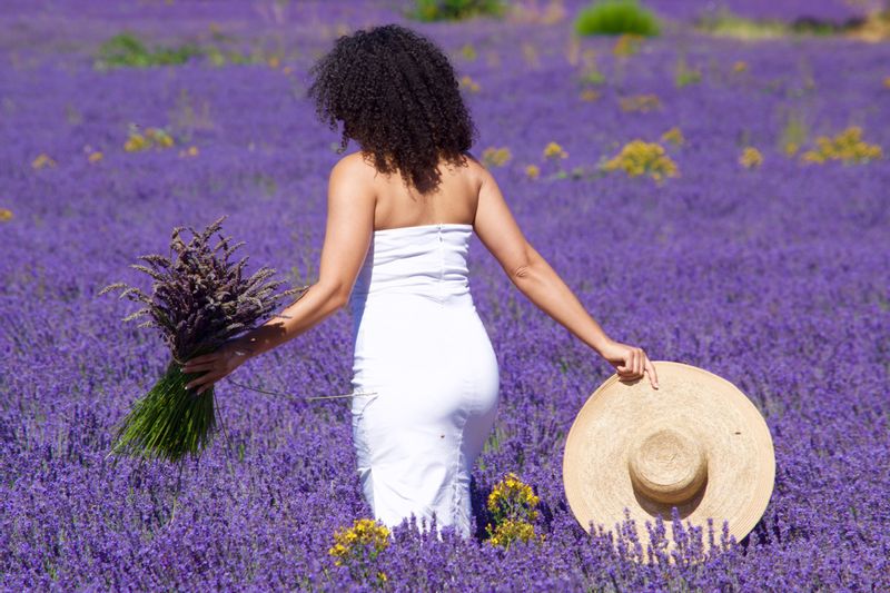 Provence-Alpes-Cote d'Azur Private Tour - Lavender field 