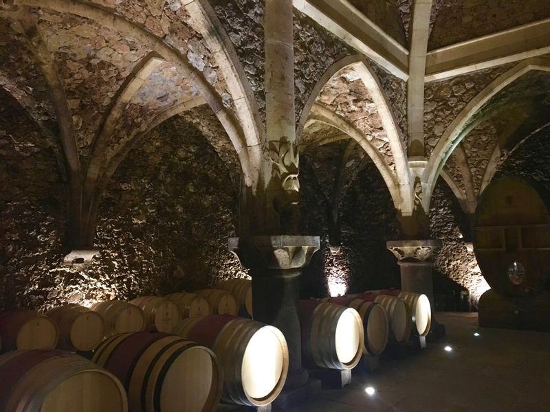 Provence-Alpes-Cote d'Azur Private Tour - Wine tasting old cellar