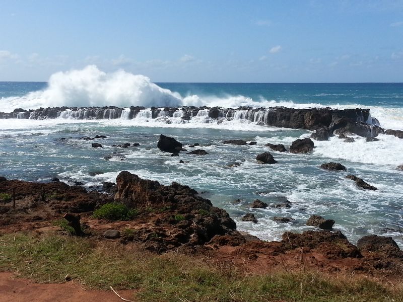 Hawaii (Oahu) Private Tour - Shark's Cove