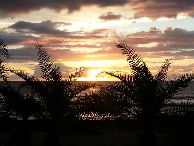 Hawaii (Oahu) Private Tour - Sunset at Ali'i Beach