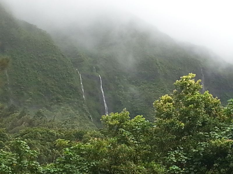 Hawaii (Oahu) Private Tour - Nu'uanu Waterfalls