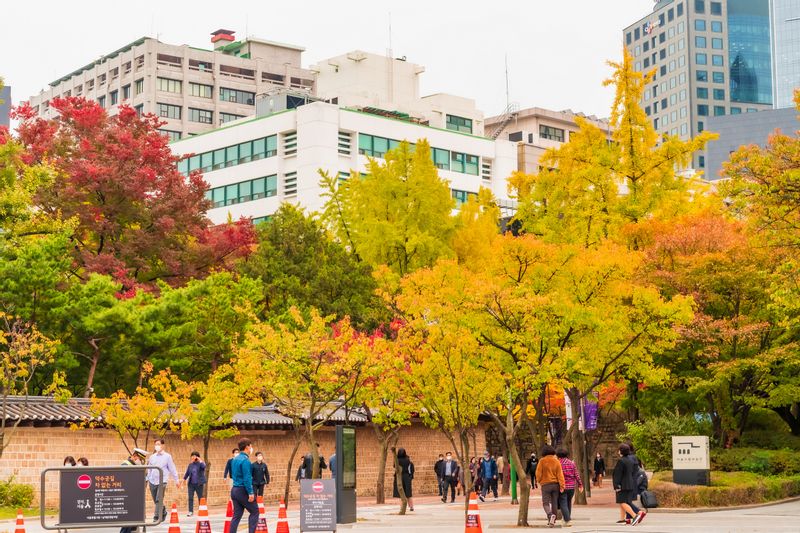 Seoul Private Tour - Seoul Street - Autumn