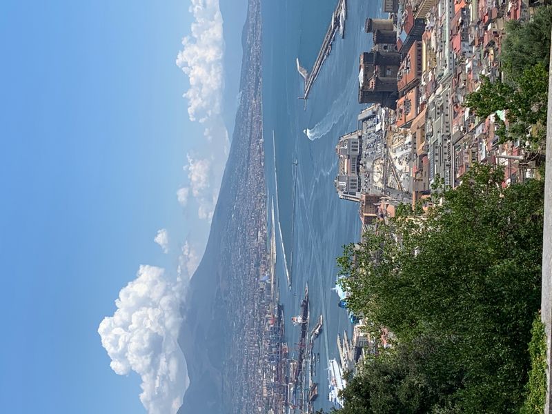 Campania Private Tour - The beauty of Naples from the Certosa di San Martino 