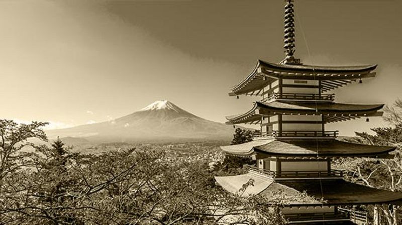 Tokyo Private Tour - Sightseeing tour
