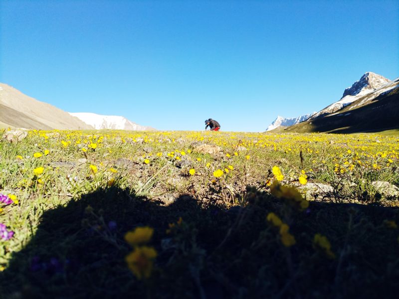 Northern Areas Private Tour - Shimshal Pass