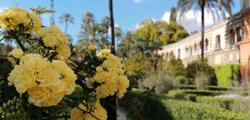 Seville Private Tour - Springtime in Seville