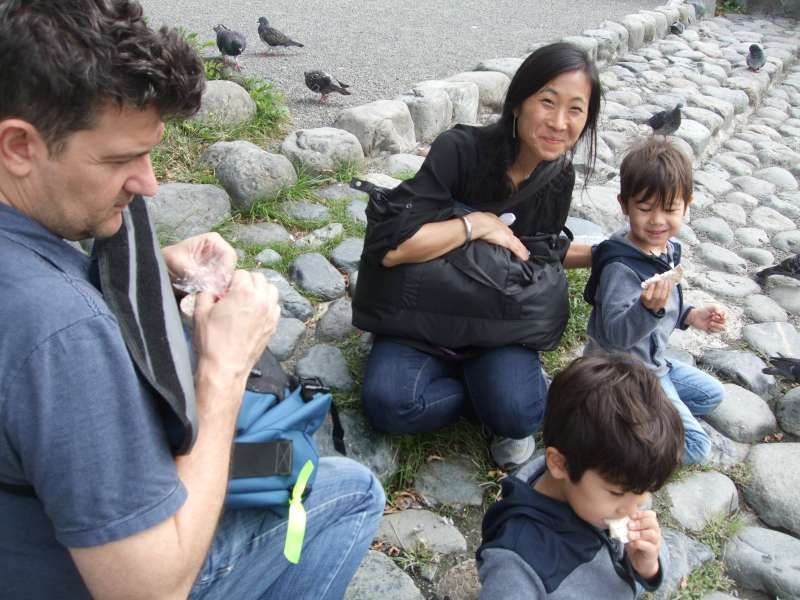 Kanagawa Private Tour - Taking a break by the pond with doves, carp and turtles at Tsurugaoka Hachiman Shrine