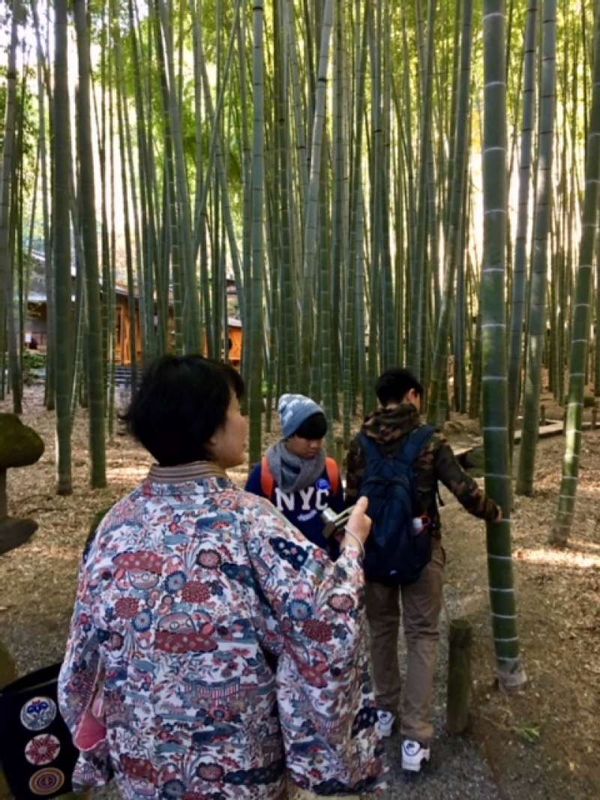 Kanagawa Private Tour - The air is so refreshing here in the bamboo grove.