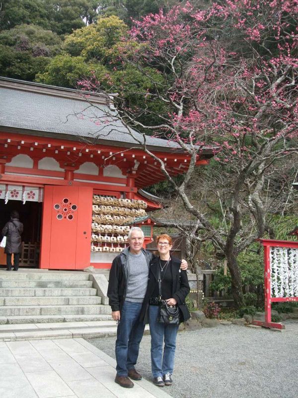 Kanagawa Private Tour - The Japanese apricot was awesome at Egara Tenjin Shrine.